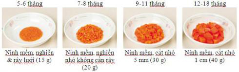 Mô hình minh họa ăn dặm kiểu Nhật - 10