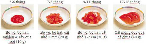 Mô hình minh họa ăn dặm kiểu Nhật - 9