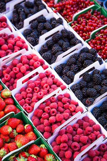 Siêu thực phẩm cho mẹ bầu - 4