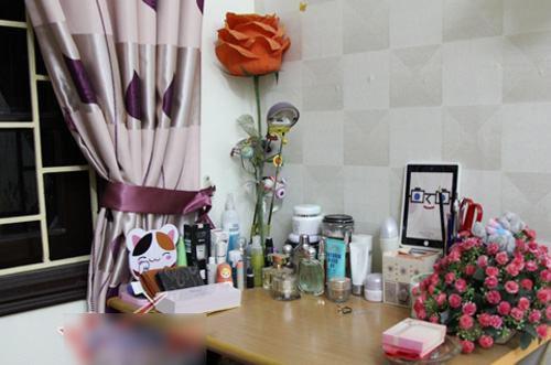 Nhà nhỏ xinh xinh của MC Thùy Linh - 4