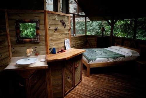 Ở nhà trên cây, muôn phần thích thú - 5