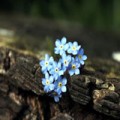 Ngày mới - Chủ Nhật của bạn (2/6/2013 )