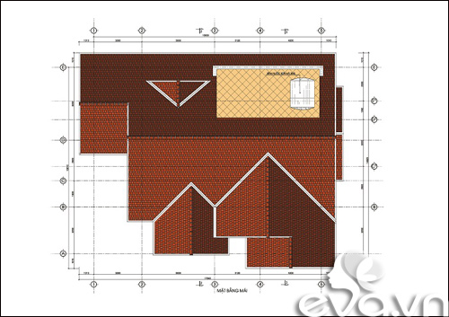 Quyết xây biệt thự 600m2 giữa đất quê - 4
