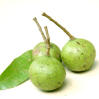 Mẹo chọn và ngâm nước sấu