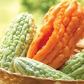 Sức khỏe - Khổ qua: rau ngon thuốc tốt