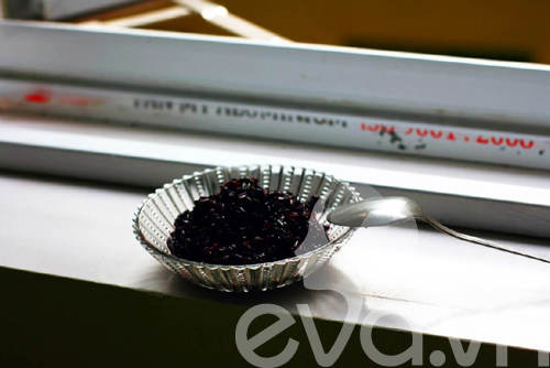 quot;Giết sâu bọquot; với cơm rượu nếp cẩm - 8