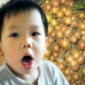 Làm mẹ - Quất hồng bì giúp bé "đánh bay" cơn ho