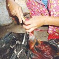 Tin tức - Vô vàn cách bơm nước vào thịt, rau ăn gian khối lượng