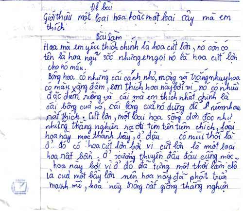 Cười rung rốn với văn “siêu thực” của bé - 1