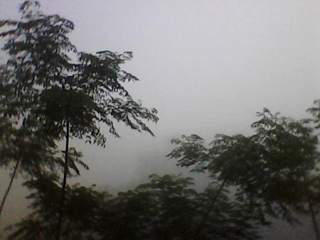 Sương mù dày đặc giữa mùa hạ ở Lào Cai - 5