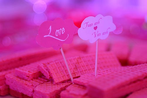 HH Biển Vân Anh nghẹn ngào trong đám cưới - 7