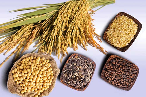 12 thực phẩm dồi dào sắt cho mẹ bầu - 1