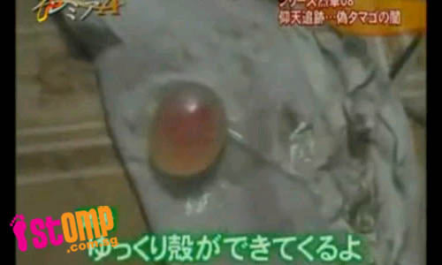 Phát hiện trứng gà giả chứa gelatin - 6