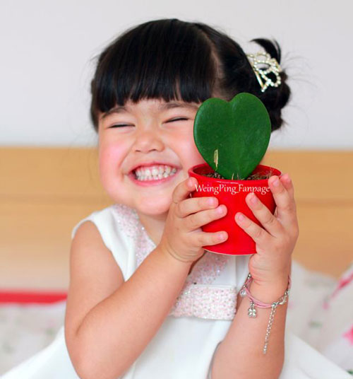 #039;Thiên thần#039; khiến triệu người mê mẩn - 4