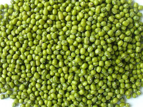 Trị mụn, trắng da nhờ đậu xanh - 1