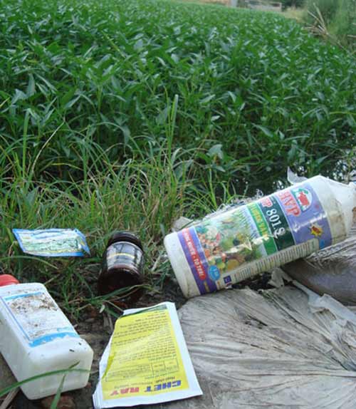 Kinh hoàng rau muống quot;tắmquot; hóa chất, dầu nhớt - 4