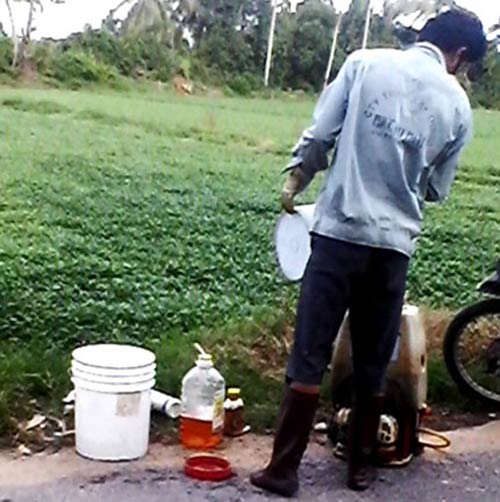 Kinh hoàng rau muống quot;tắmquot; hóa chất, dầu nhớt - 2