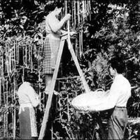Những cú lừa 'lịch sử' trong ngày Cá tháng Tư