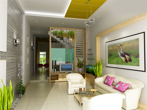 Thiết kế nhà ống 50m2 mặt tiền hẹp - 7