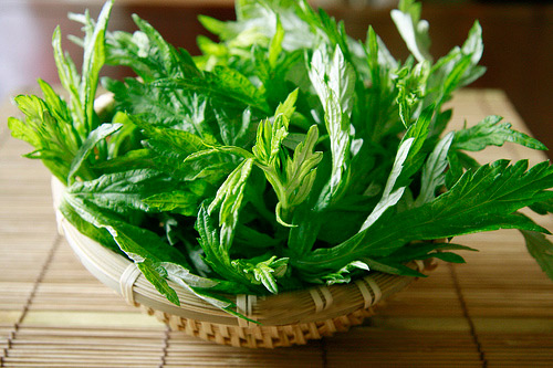 7 loài cây quot;cầu anquot; nên trồng - 4