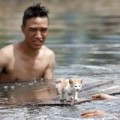 Làng sao - 4 chú mèo trong Vừa đi vừa khóc đều đã chết