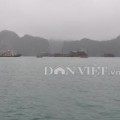 Tin tức - Một du khách Anh tử nạn trên Vịnh Hạ Long