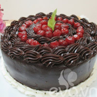 Sinh nhật bằng bánh chocolate kem dừa