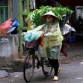 Tin tức - Những người phụ nữ lặng lẽ mưu sinh giữa thủ đô