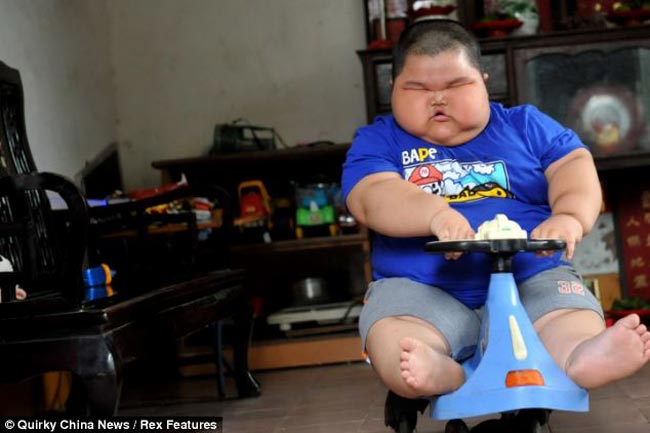 Cậu bé Luhao người Trung Quốc đã trở nên nổi tiếng khắp thế giới nhờ cân nặng kỷ lục và những bức hình vô cùng độc đáo, gây choáng váng. Với cân nặng gần 60 kg, cậu bé 3 tuổi Lu Hao đã lớn gấp 5 lần những đứa trẻ cùng trang lứa.
