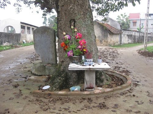 Thực hư chuyện #039;rùa đá báo oán#039; ở làng Nhân Mỹ - 1