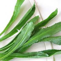 Chữa cảm cúm với mùi tàu