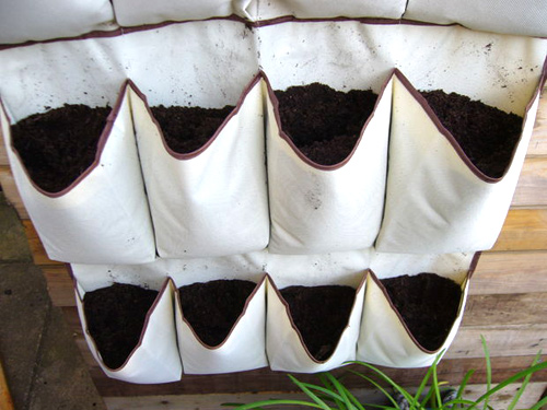 Trồng rau sạch trong túi vải quot;ngon-bổ-rẻquot; - 5