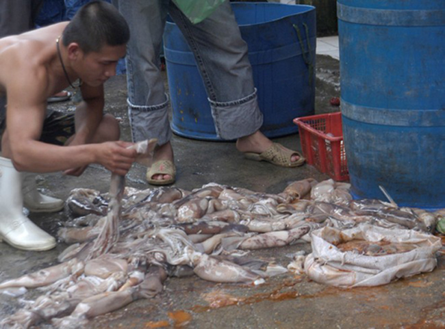 5 năm trước, Phòng cảnh sát môi trường (Công an Hà Nội) cũng kiểm tra, phát hiện ki ốt thủy sản trong chợ Long Biên, có hành vi tẩy trắng cá mực kém chất lượng bằng hóa chất. Sau một thời gian tạm lắng, hành vi này tiếp tục diễn ra.
