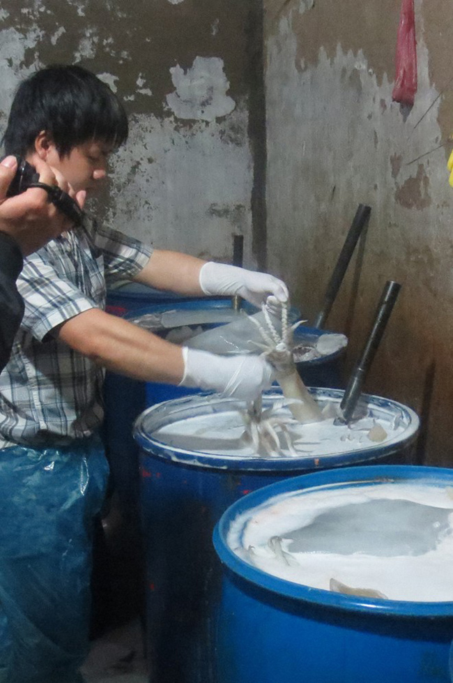Khi ập vào kiểm tra, cảnh sát bắt quả tang Vũ Mạnh Cầm (22 tuổi, ở Ân Thị, Hưng Yên - nhân viên khu thủy sản), đang đổ hàng chục kg mực ôi, bốc mùi vào các thùng phuy cỡ lớn chứa hóa chất công nghiệp.
