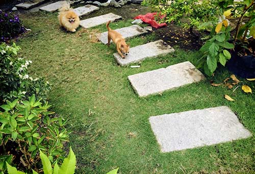 Nhà đắt giá của 3 nam ca sĩ điển trai đất Hà Thành - 10