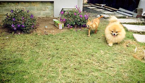 Nhà đắt giá của 3 nam ca sĩ điển trai đất Hà Thành - 11