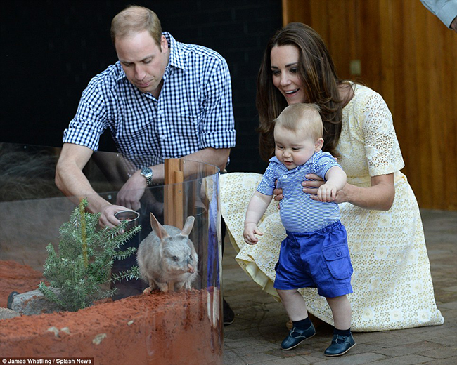 Hoàng tử George rất thích thú khi được bố mẹ dẫn đi thăm một số loài tại vườn thú.
