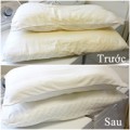 Nhà đẹp - Tẩy trắng ruột gối bị ố vàng siêu nhanh