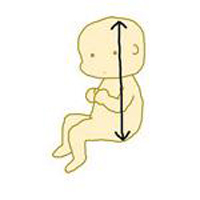 Cực dễ cách đọc kết quả siêu âm thai - 1