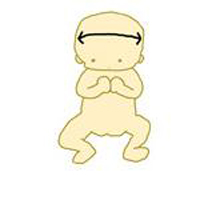 Cực dễ cách đọc kết quả siêu âm thai - 2