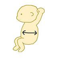 Cực dễ cách đọc kết quả siêu âm thai - 4