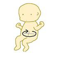 Cực dễ cách đọc kết quả siêu âm thai - 5