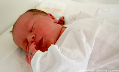 Nơi nào sướng nhất để sinh nở? - 1