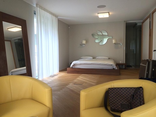 Cận cảnh nhà triệu đô của Thu Minh ở Tiệp Khắc - 5