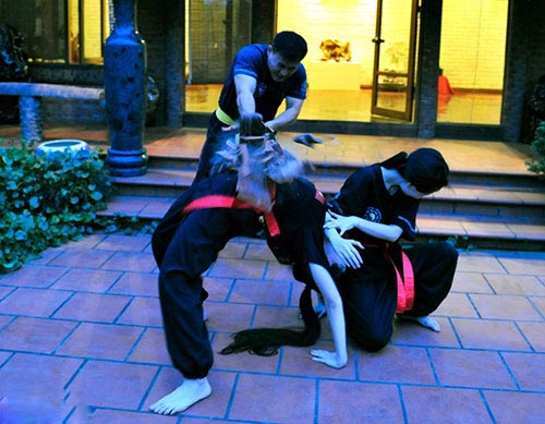 Cặp sinh đôi giỏi võ đẹp như gái Hàn - 6