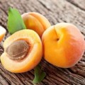 Sức khỏe - Thuốc hay từ quả mơ