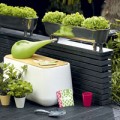 Nhà đẹp - 5 giải pháp trồng rau sạch cho nhà chật