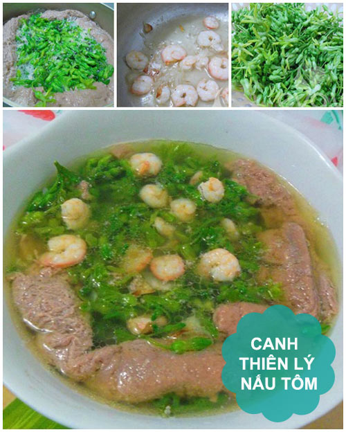 Thực đơn: Cá kho, canh thiên lý - 2