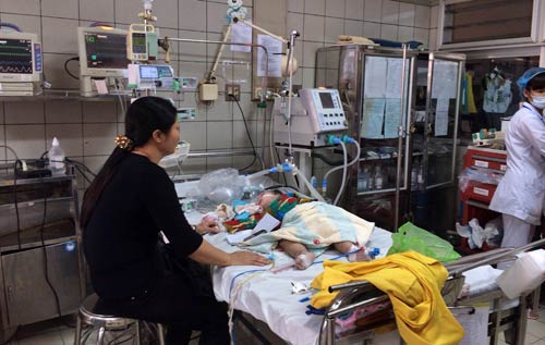 Nhiều dịch bệnh nguy hiểm cùng lúc bủa vây VN - 1