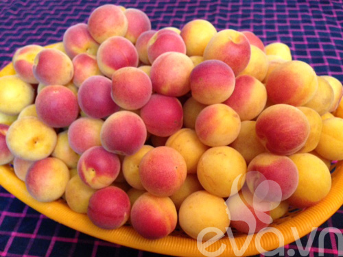 Giải khát với nước mơ ngâm tự làm - 3